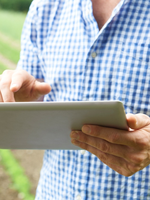 Close Up Of Farmer Using Digital Tablet On Organic Farm