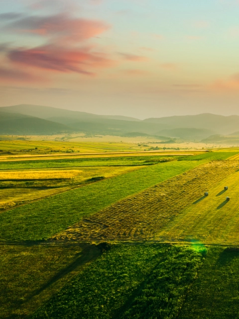 Aerial of beautiful sunset over agricultural fields.; Shutterstock ID 1837036909; purchase_order: 1086744798; job: Annegret Liebscht; client: APB/KS; other: 20782208