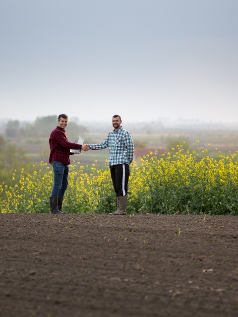 Two satisfied farmers with laptop shaking hands in yellow rapeseed field