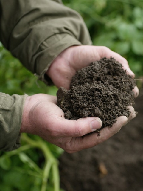 Farmer holds soil in his hands