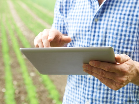 Close Up Of Farmer Using Digital Tablet On Organic Farm Close Up Of Farmer Using Digital Tablet On Organic Farm
