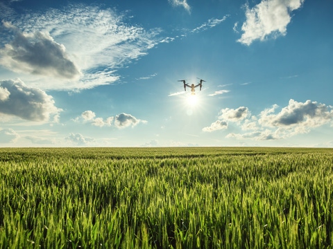 Avion volando sobre una plantacion verde 
