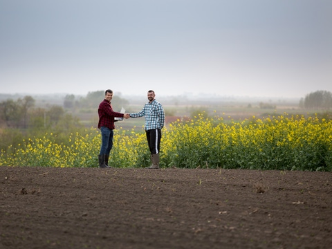Two satisfied farmers with laptop shaking hands in yellow rapeseed field