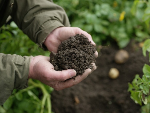Farmer holds soil in his hands Farmer holds soil in his hands