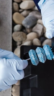 H 431 Betriebsgaststätte 1 Schädlingsbekämpfung / Kontrolle H 431 Betriebsgaststätte 1 Schädlingsbekämpfung / Kontrolle