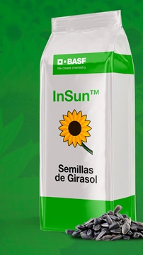 AR INSUN Semillas de Girasol BANNER