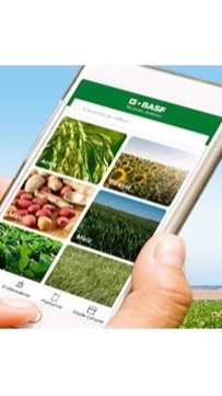 Llego la app BASF Agro