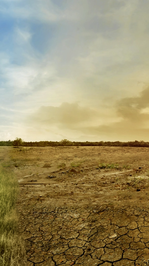 Landscape of meadow field with the changing environment concept of climate change; Shutterstock ID 569062588; purchase_order:1086744798; job:Kosima Schoefl; client:APM/MC; other:21233587