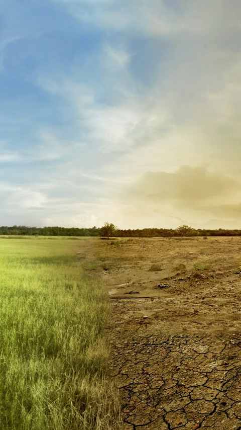 Landscape of meadow field with the changing environment concept of climate change