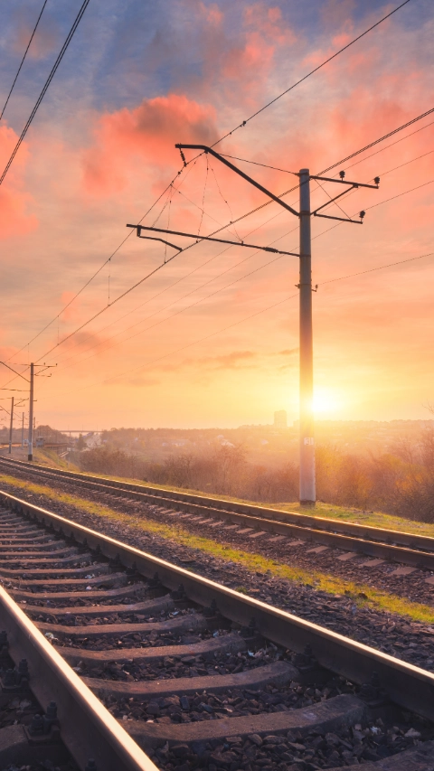 Linha de trem cercada por árvores BASF Brasil