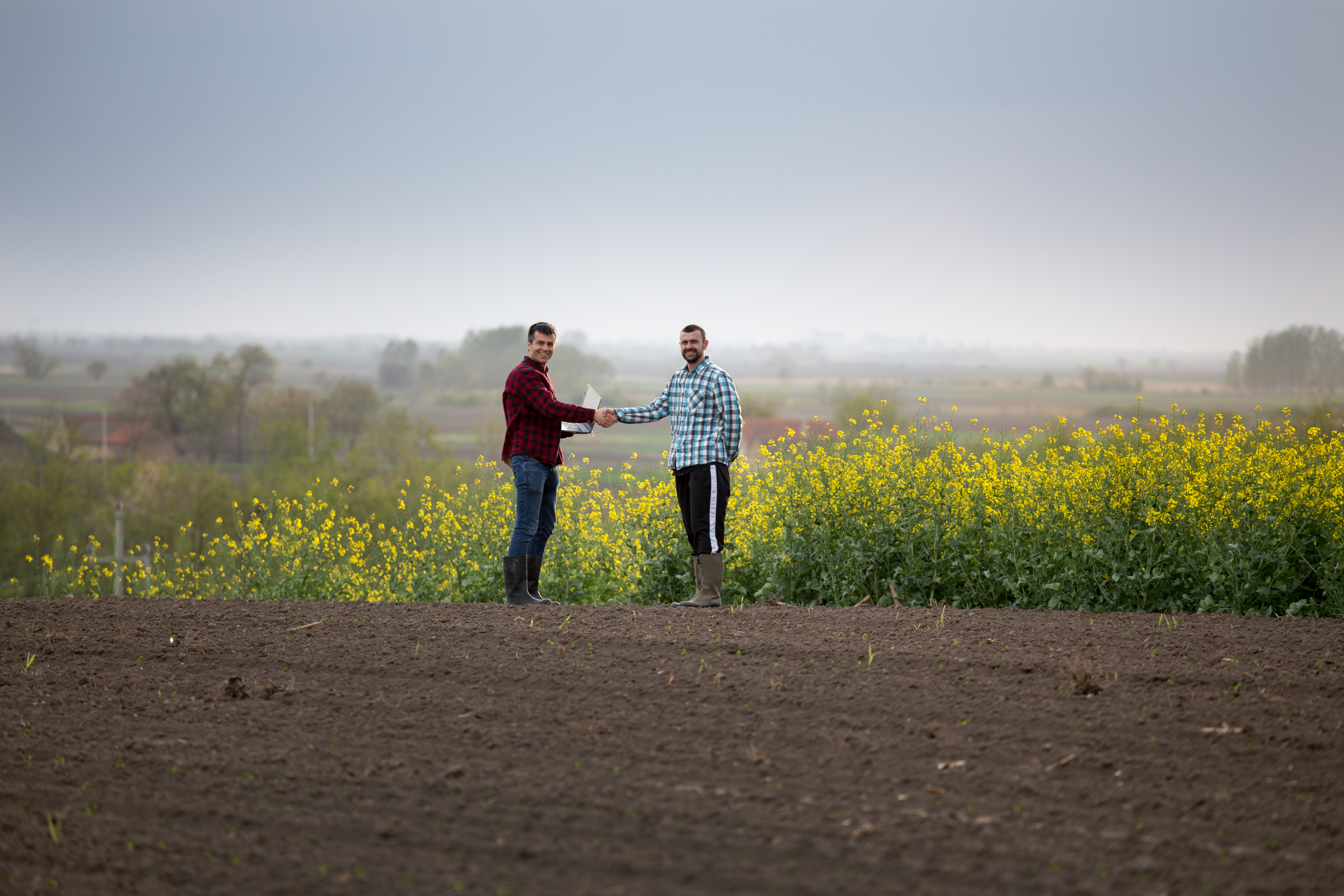 Two satisfied farmers with laptop shaking hands in yellow rapeseed field; Shutterstock ID 1385220242; PO Number: Shutterstock 1086744798: 1086744798; Name des Bestellers: Tobias Schulte; Abteilung: APM/KB; SAP Nummer: 20752280