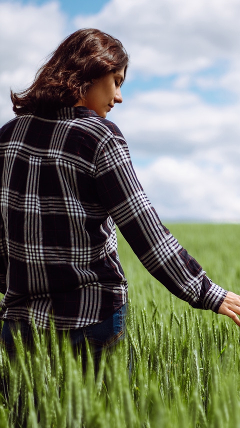 AR Una joven granjera camina por el campo de trigo