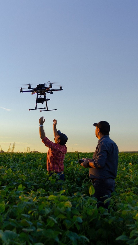 AR-Drone-en-campo-soja