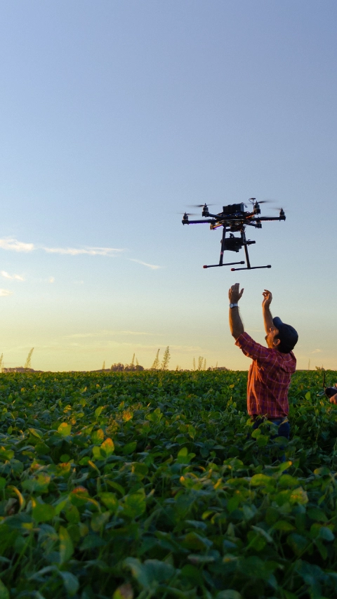 AR-Drone-en-campo-soja