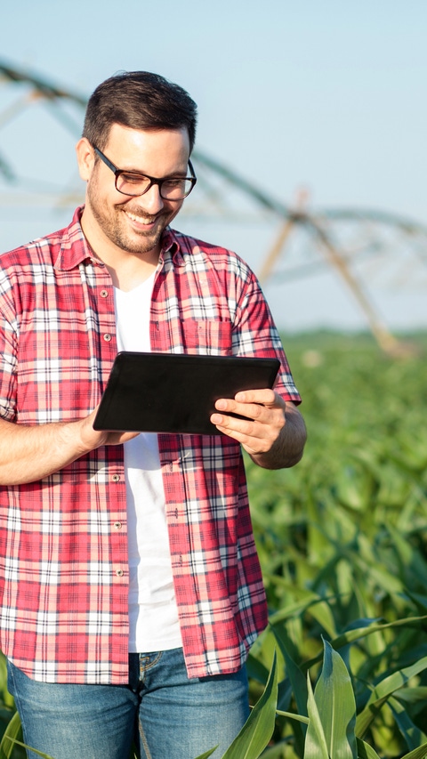 AR Feliz joven granjero usando tableta en el campo de maíz. Sistema de riego al fondo.