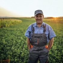 A picture of a farmer standing in a field