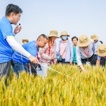 A picture of BASF employees standing on an acre