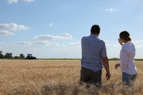 AR Jóvenes agricultores examinando trigo