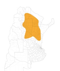 AR Credenz® Semillas Soja CZ 5923 STS