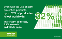 An infographic on food production losses An infographic on food production losses