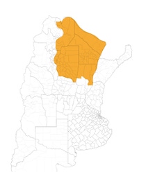 AR Credenz® Semillas Soja CZ 78B24 CE