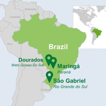 Brazilian states participating in the study Brazilian states participating in the study