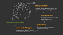 Tomato processing industry Tomato processing industry