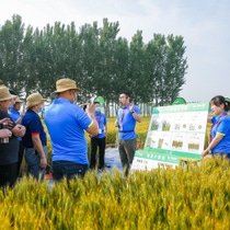A picture of BASF employees standing on an acre