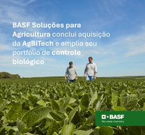 homem-de-camisa-branca-analisando-plantação-de-soja