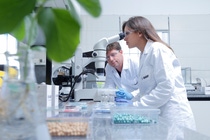 Employee at the microscope Employee at the microscope