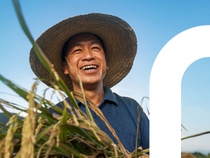 Prexio® Active, ein neuer Insektizid-Wirkstoff, wird voraussichtlich im zweiten Quartal 2025 in einer einfach zu handhabenden Formulierung in Indien erhältlich sein. Andere wichtige Märkte im asiatisch-pazifischen Raum werden folgen. Mit seiner neuartigen Wirkungsweise wurde Prexio speziell für die Kontrolle verschiedener Reiszikaden-Arten entwickelt.
Foto: BASF SE