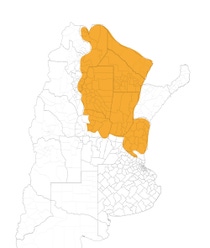 AR Credenz® Semillas Soja CZ 68B24 CE