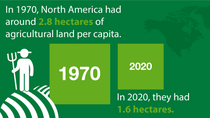 Agricultural land per capita - North America | STATISTA Agricultural land per capita - North America | STATISTA