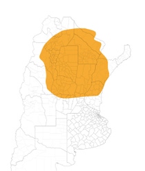 AR Credenz® Semillas Soja CZ 6505