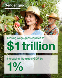 Woman and man harvesting apples