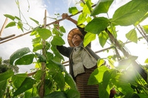 Woman farmer in the vineyard Woman farmer in the vineyard