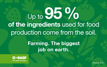 An infographic on the importance of soil An infographic on the importance of soil