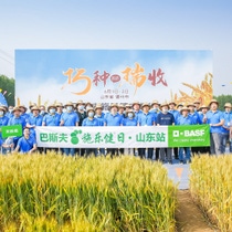 A picture of BASF employees standing on an acre