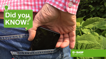 A person pulling a smartphone out of the pocket A person pulling a smartphone out of the pocket